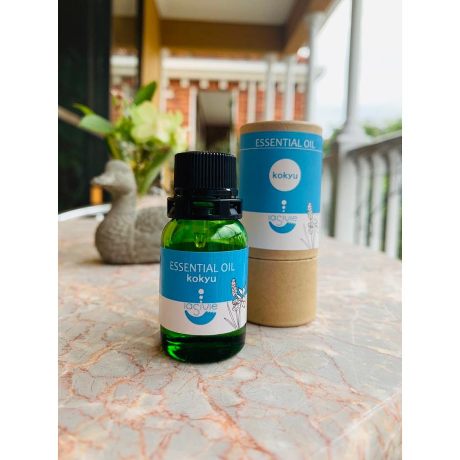 アンピールブレンド【kokyu】(10ml)