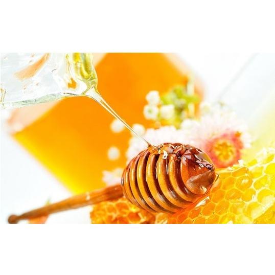 LIPLIP BARM (リップバーム)